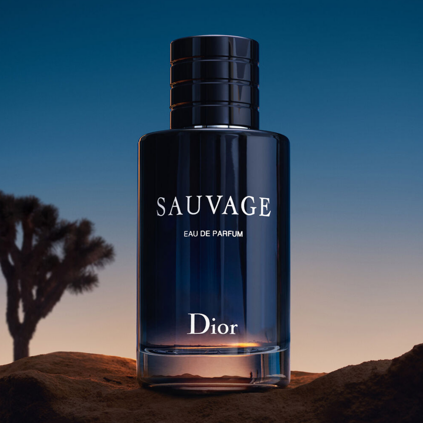 Dior Sauvage Edp Perfume 100 Ml Pure