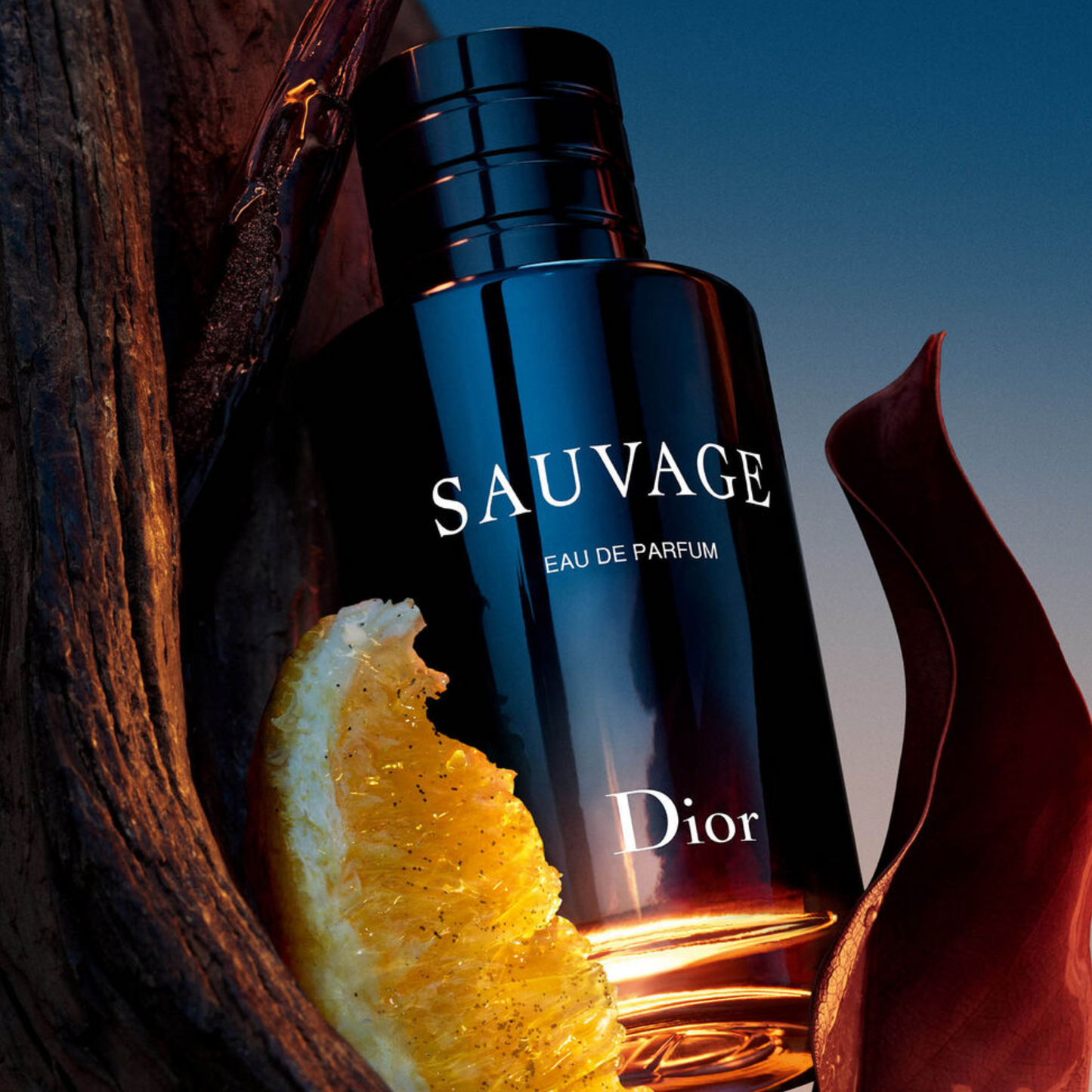 Dior Sauvage Edp Perfume 100 Ml Pure